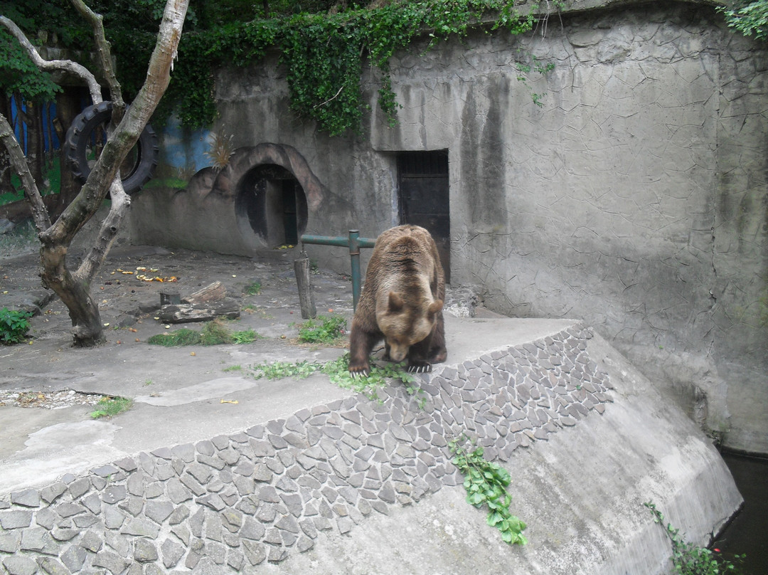 Zoo Bratislava-布拉迪斯拉发必去景点
