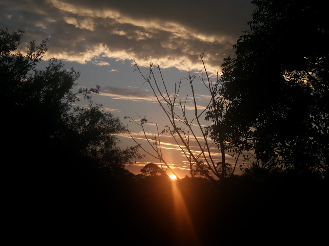 Amamoor Homestead主图