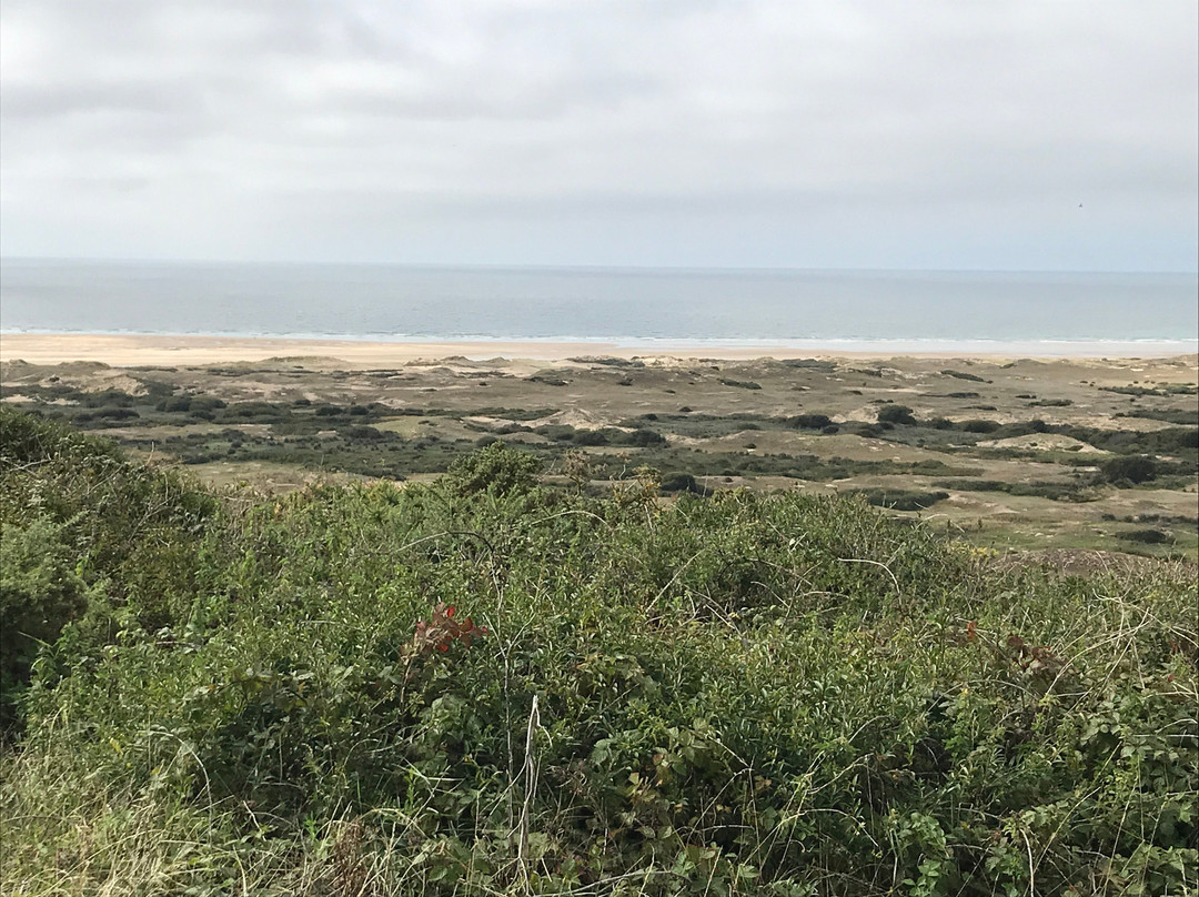 Dunes d'Hattainville景点图片