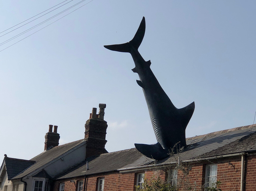 Headington Shark景点图片