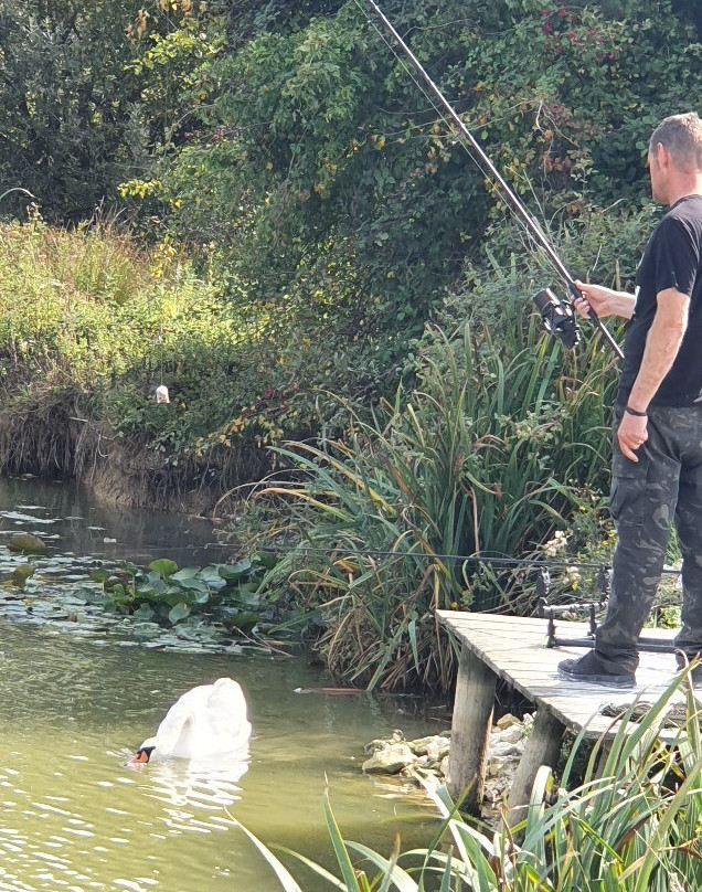 Passies Pond Fishery景点图片