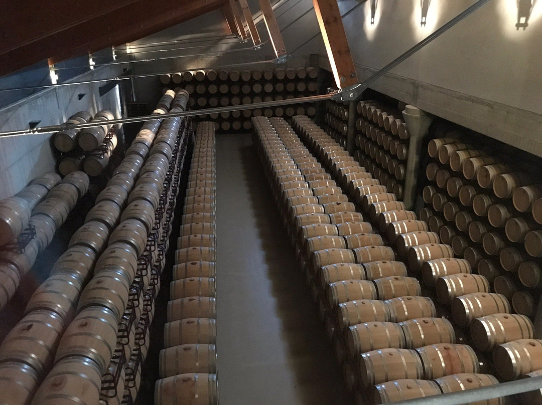Bodegas Valenciso-Ollauri必去景点