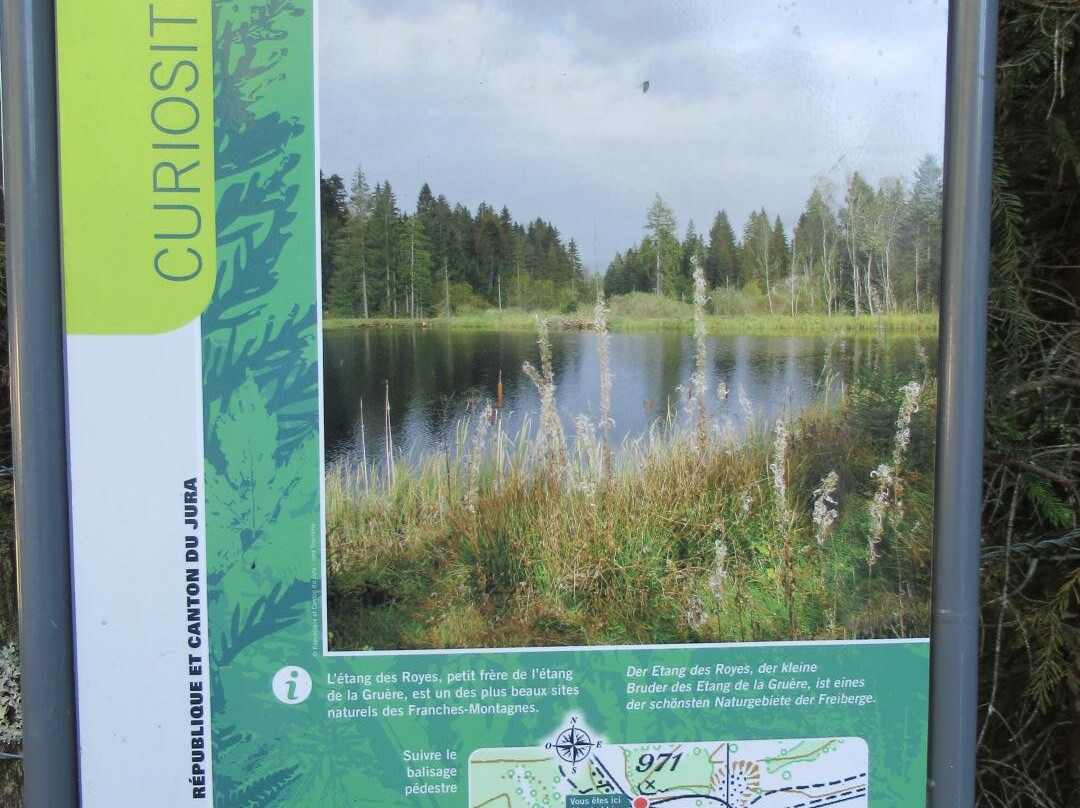 Etang des Royes-Saignelégier必去景点
