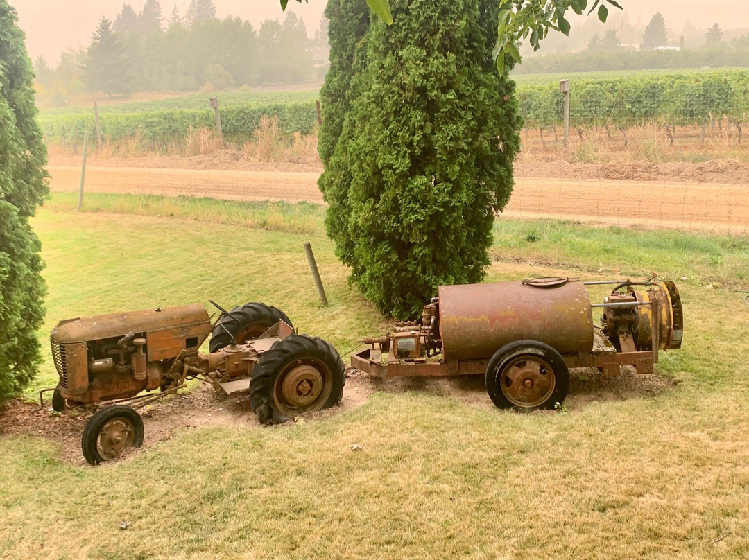Skimmerhorn Winery and Vineyard景点图片