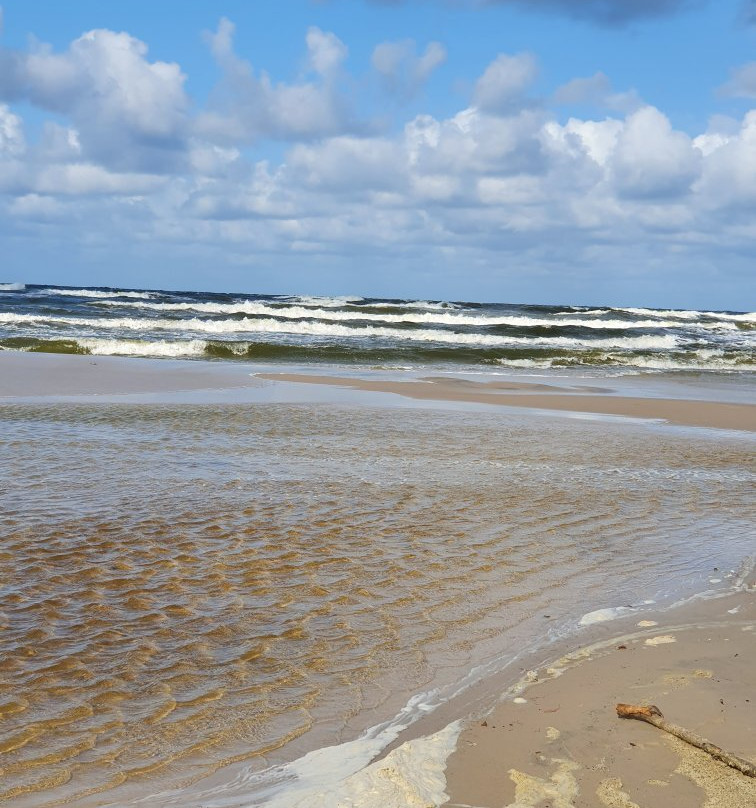 Plaża Białogóra景点图片