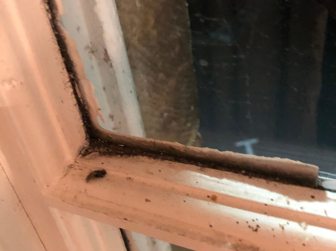 Percy Arms Hotel主图