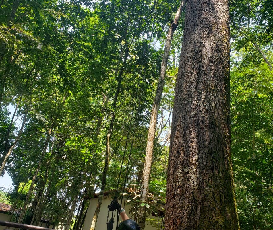 Bioparque Municipal de Macapa-Macapa必去景点