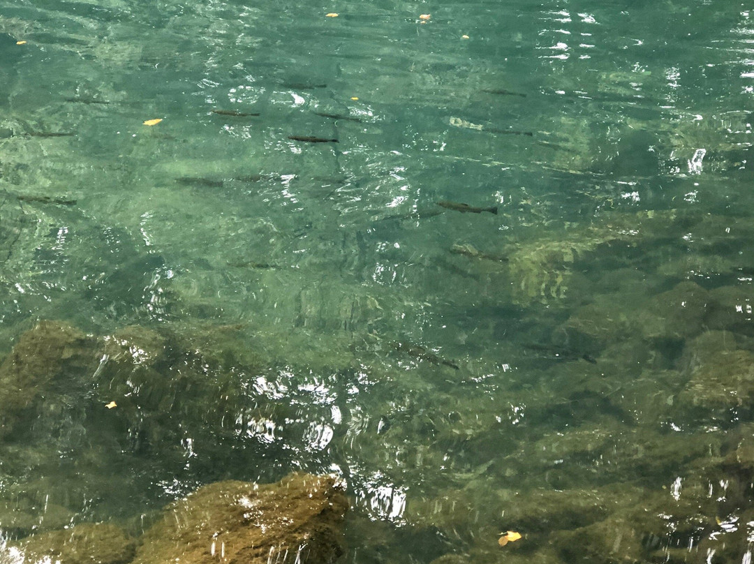 Bennett Spring State Park-莱巴嫩必去景点