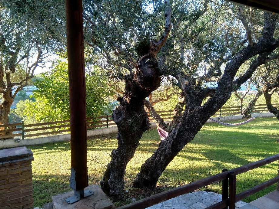 Meso Gerakari旅游攻略图片