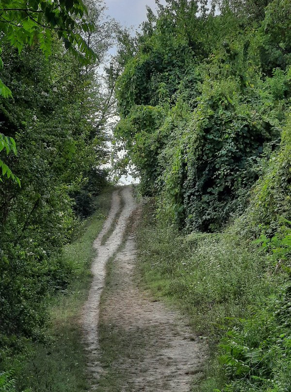 Parco Del San Pellegrino-博洛尼亚必去景点