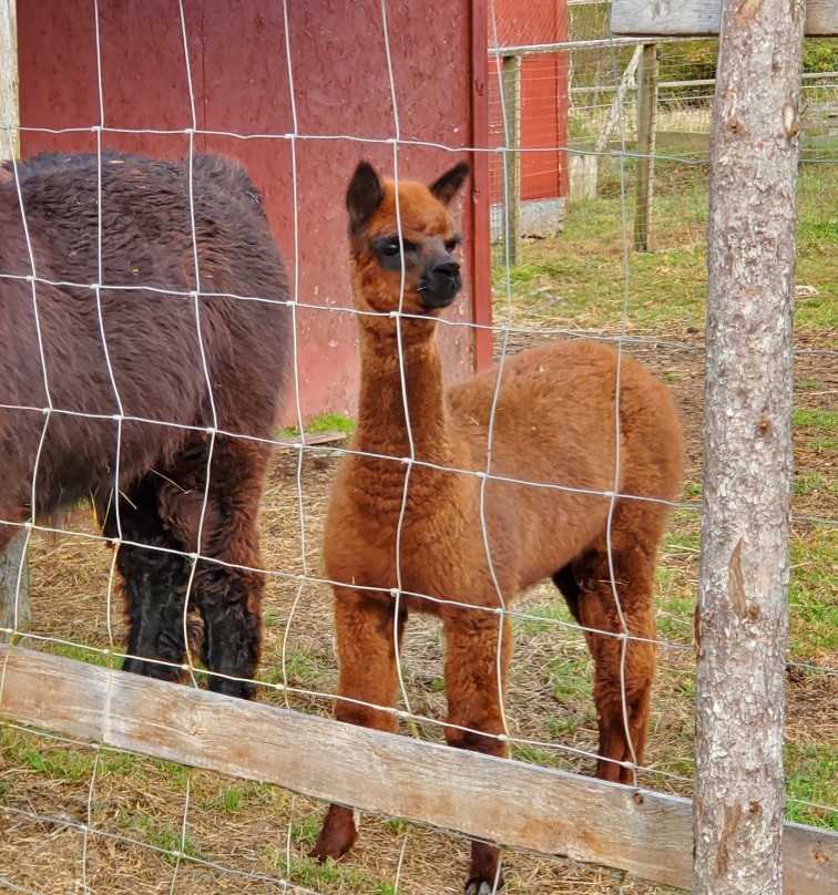 Hooking by the Sea - Brierwood Farm Retreat主图