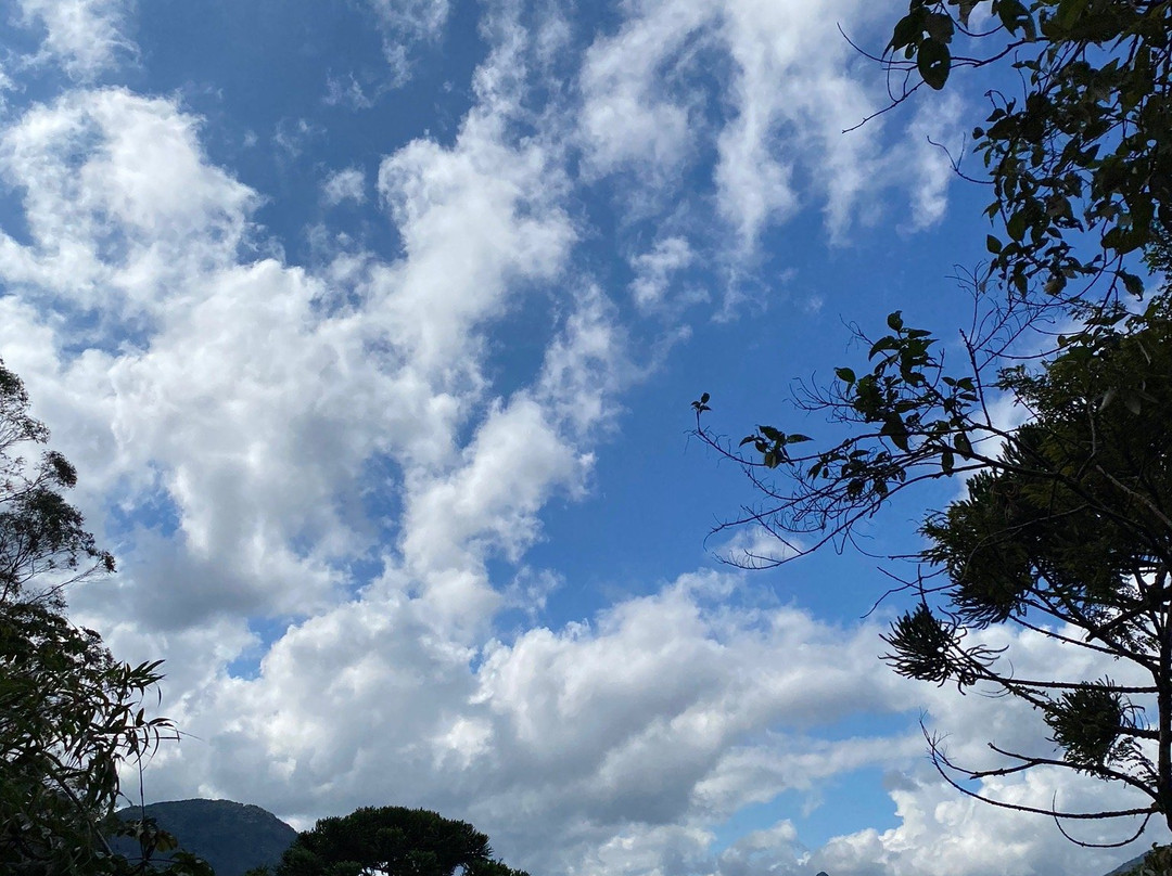 Miranda Da Pedra Aguda