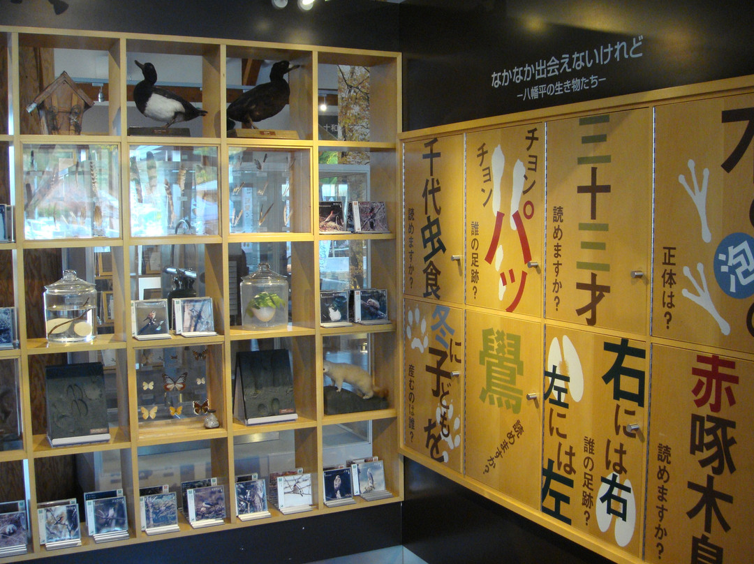 Matsuo Hachimantai Visitor Center-八幡平市必去景点