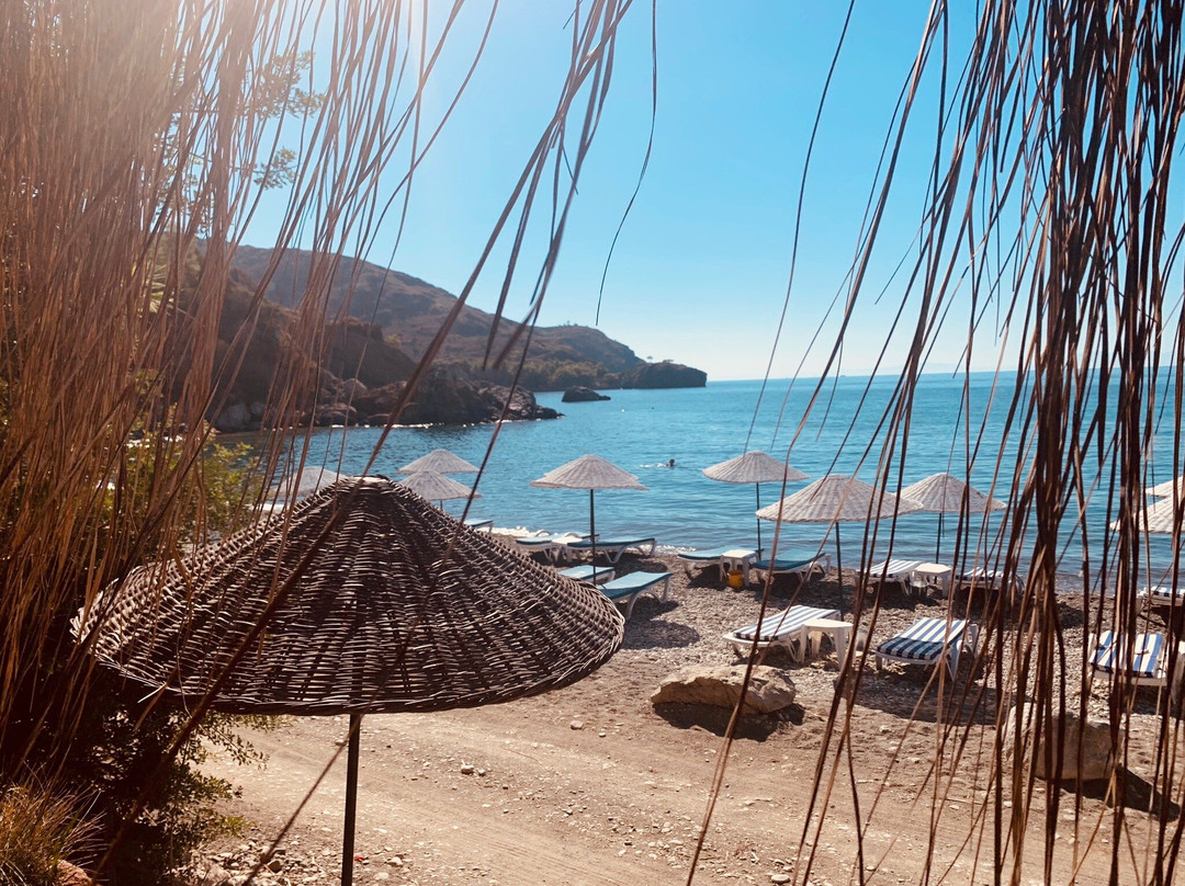 Datca Masal Gibi Plaj&Restaurant主图