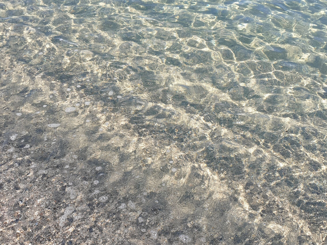 Spiaggia di Marina di Arborea-Arborea必去景点
