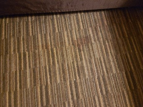 Quality Inn Tulare主图