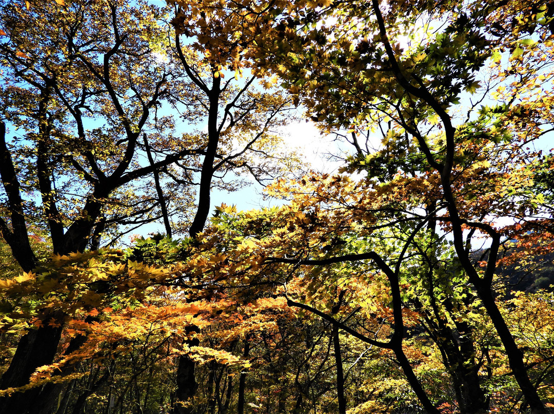 Sangai Fall/Fudo Fall景点图片