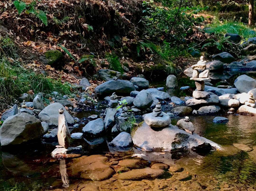 Bothe-Napa State Park景点图片