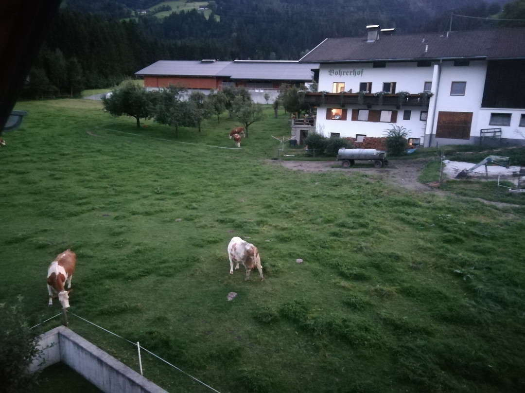 Ferienhaus Klocker