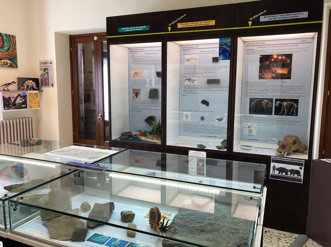 Museo Intelvese Dei Fossili景点图片