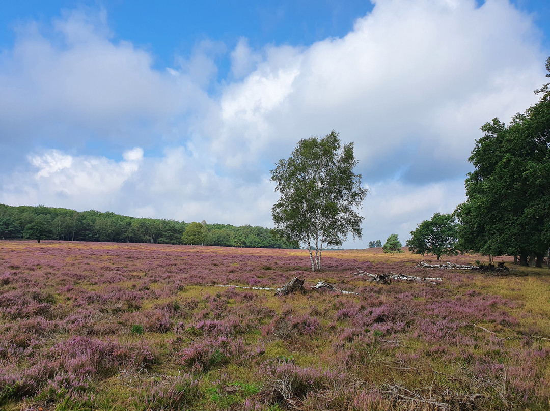 Veluwe Specialist Otterlo