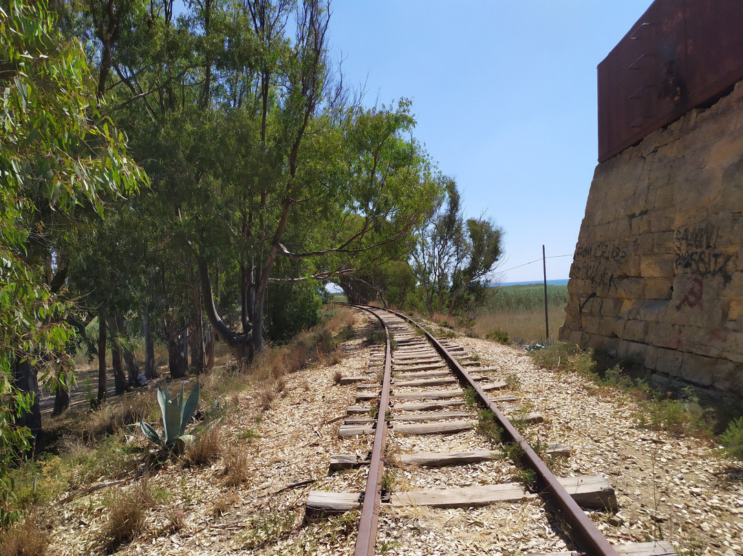 Riserva Naturale Orientata Foce del Fiume Belice e Dune Limitrofe-Castelvetrano必去景点