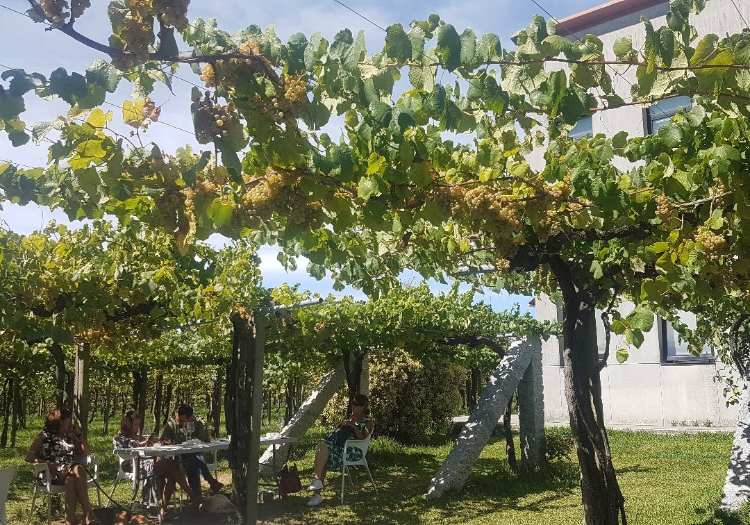 Bodegas Don Olegario景点图片