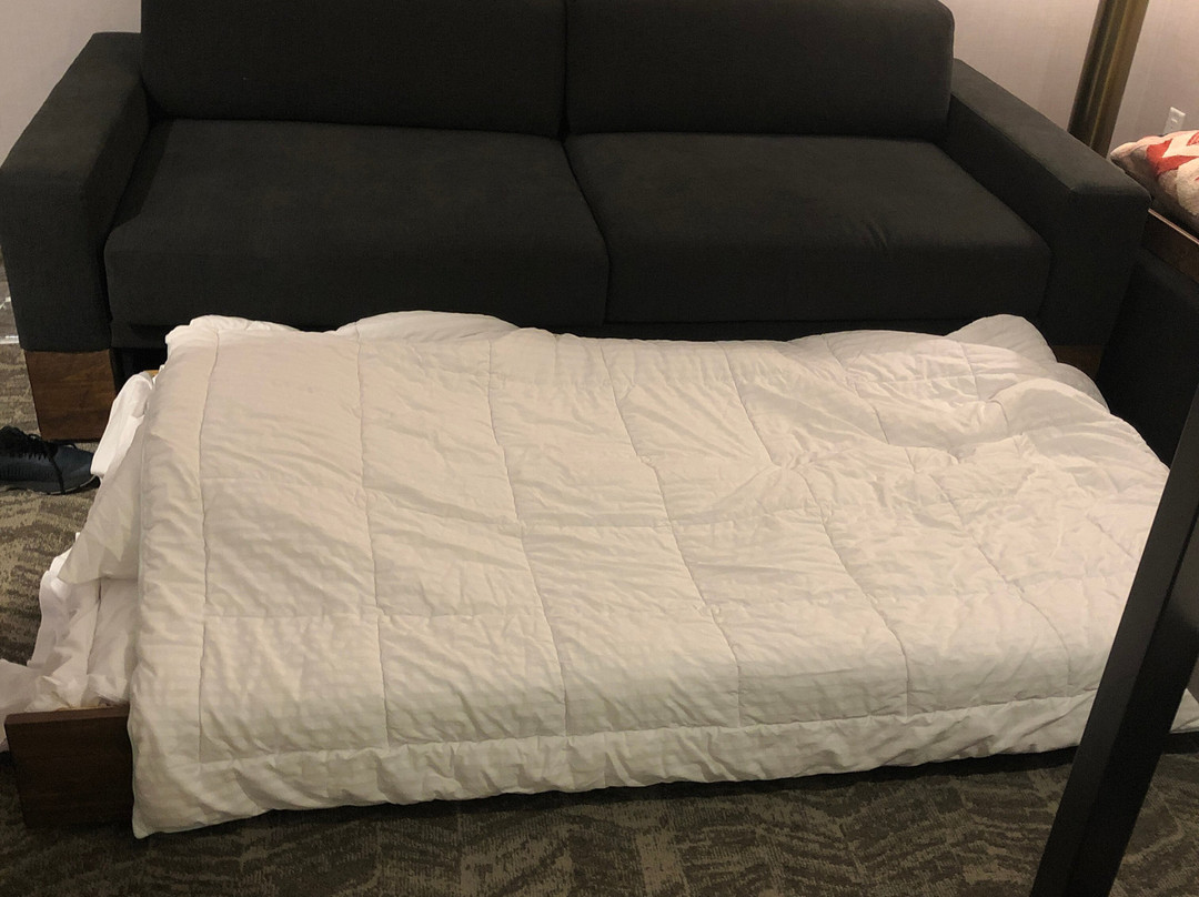 SPRINGHILL SUITES CINCINNATI BLUE ASH主图