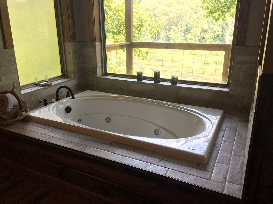 Tree House Cabins at River of Life Farm主图