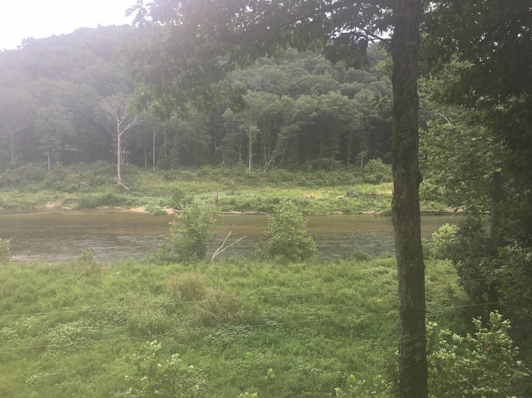 Tree House Cabins at River of Life Farm主图