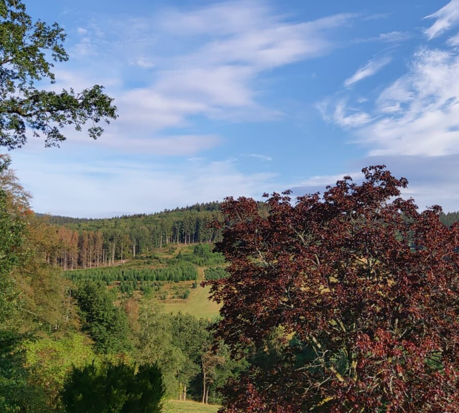 Landgasthof Hof Roscheid主图