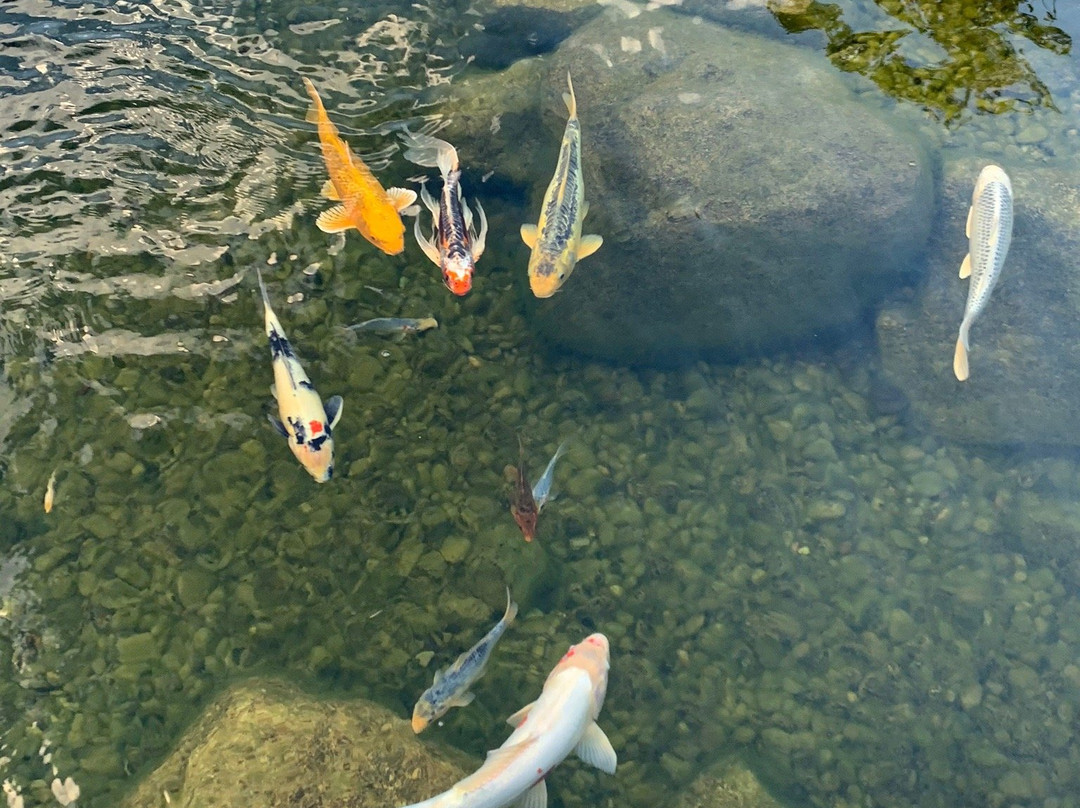 The Lodges at Blue Water Manor主图