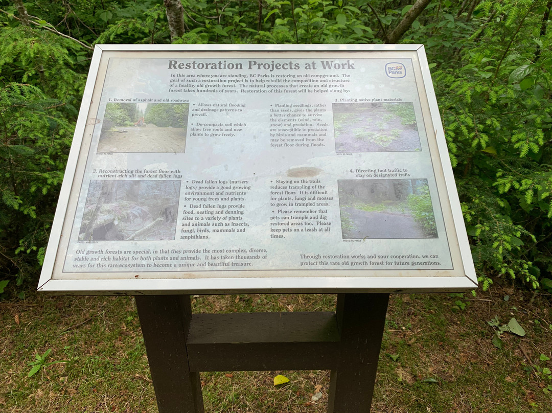 Exchamsiks River Provincial Park-Kitimat-Stikine District必去景点