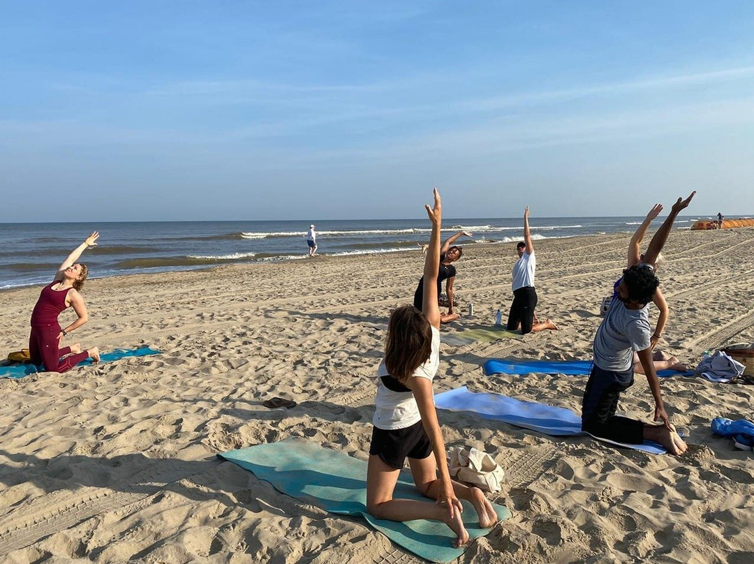 Elisa Body&Mind-赞德沃特必去景点