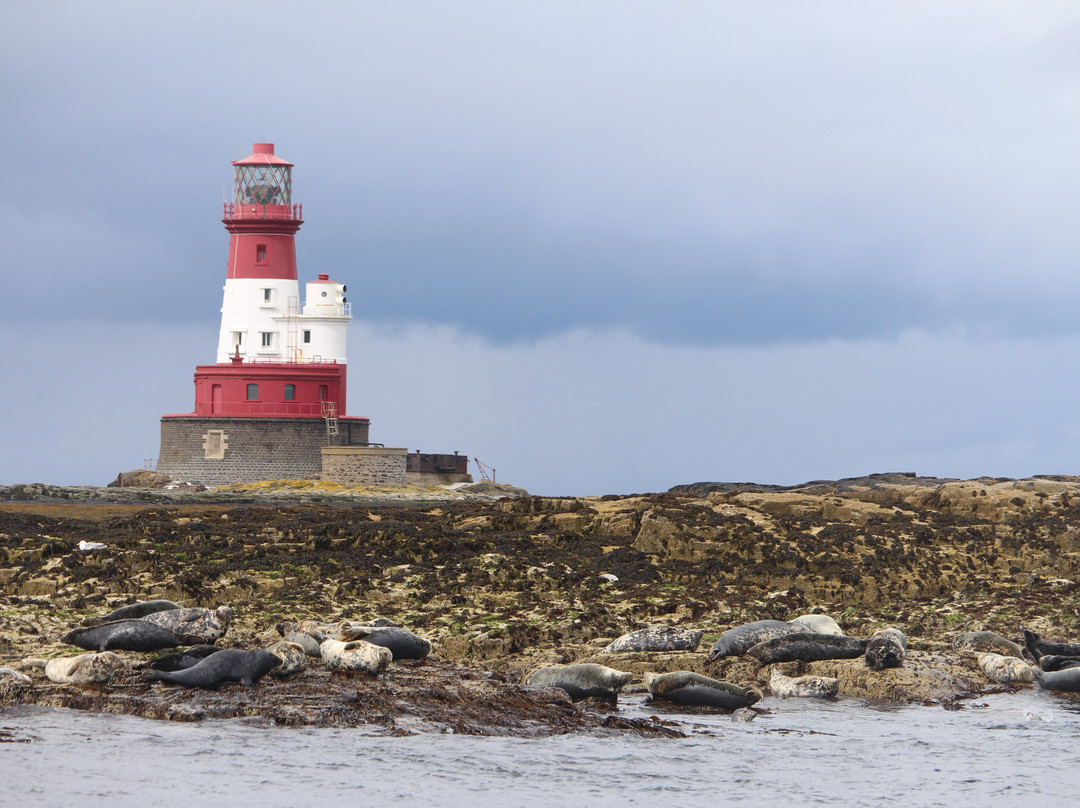 Longstone Lighthouse-Seahouses必去景点