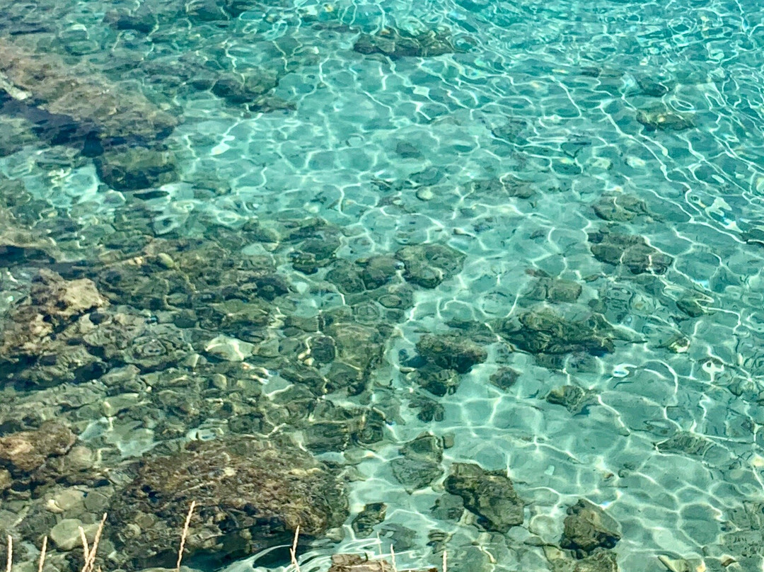 Agios Thomas Beach景点图片