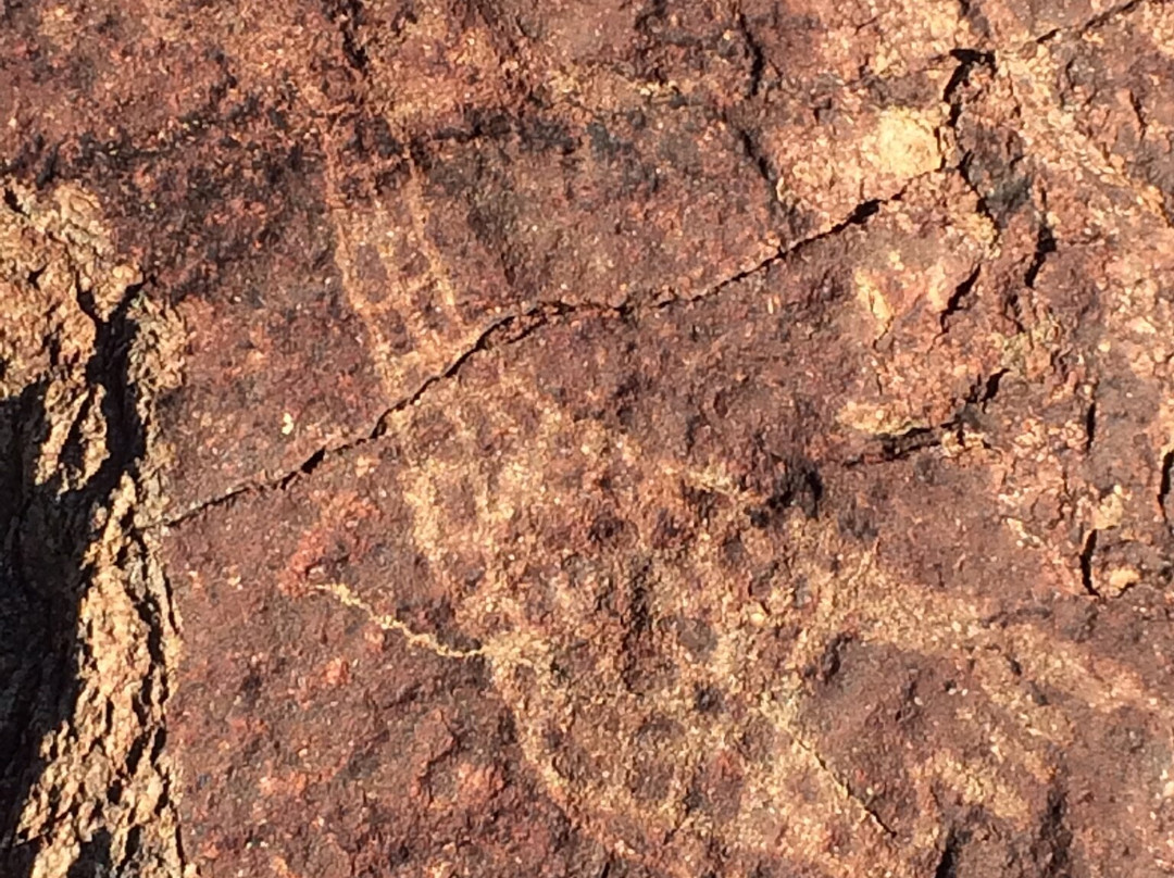 Rock Engravings at Peet Alberts Koppie-Kamanjab必去景点