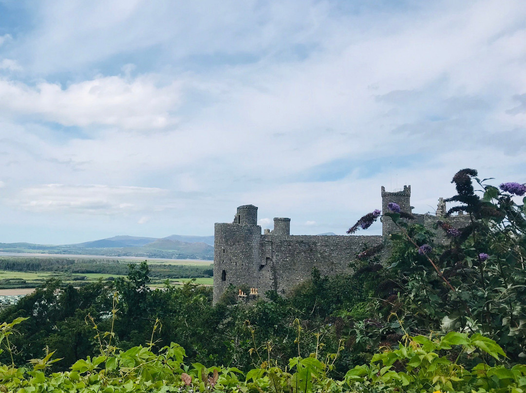 Llanbedr旅游攻略图片