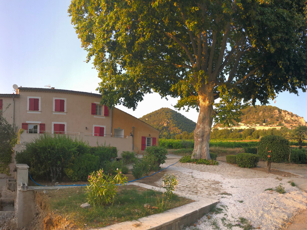 Logis Hôtellerie du Domaine de Cabasse主图