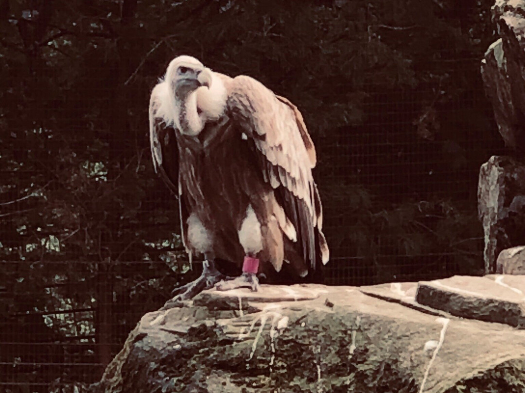 Tierpark Nordhorn景点图片