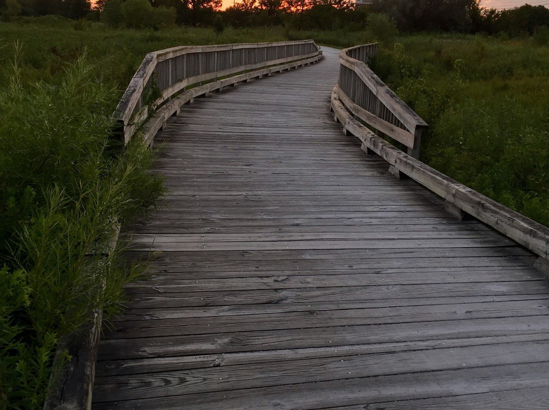 Springbrook Prairie Forest Preserve-内珀维尔必去景点