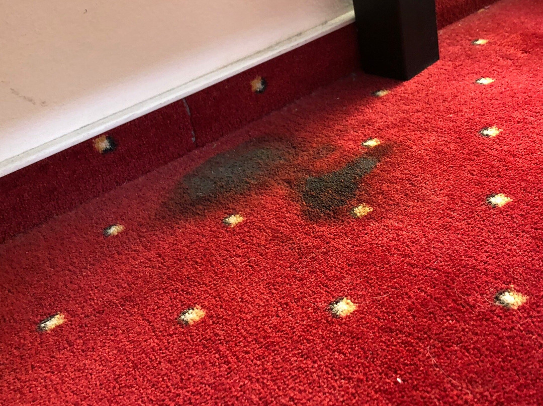 Hotel Krusnohorsky Dvur主图