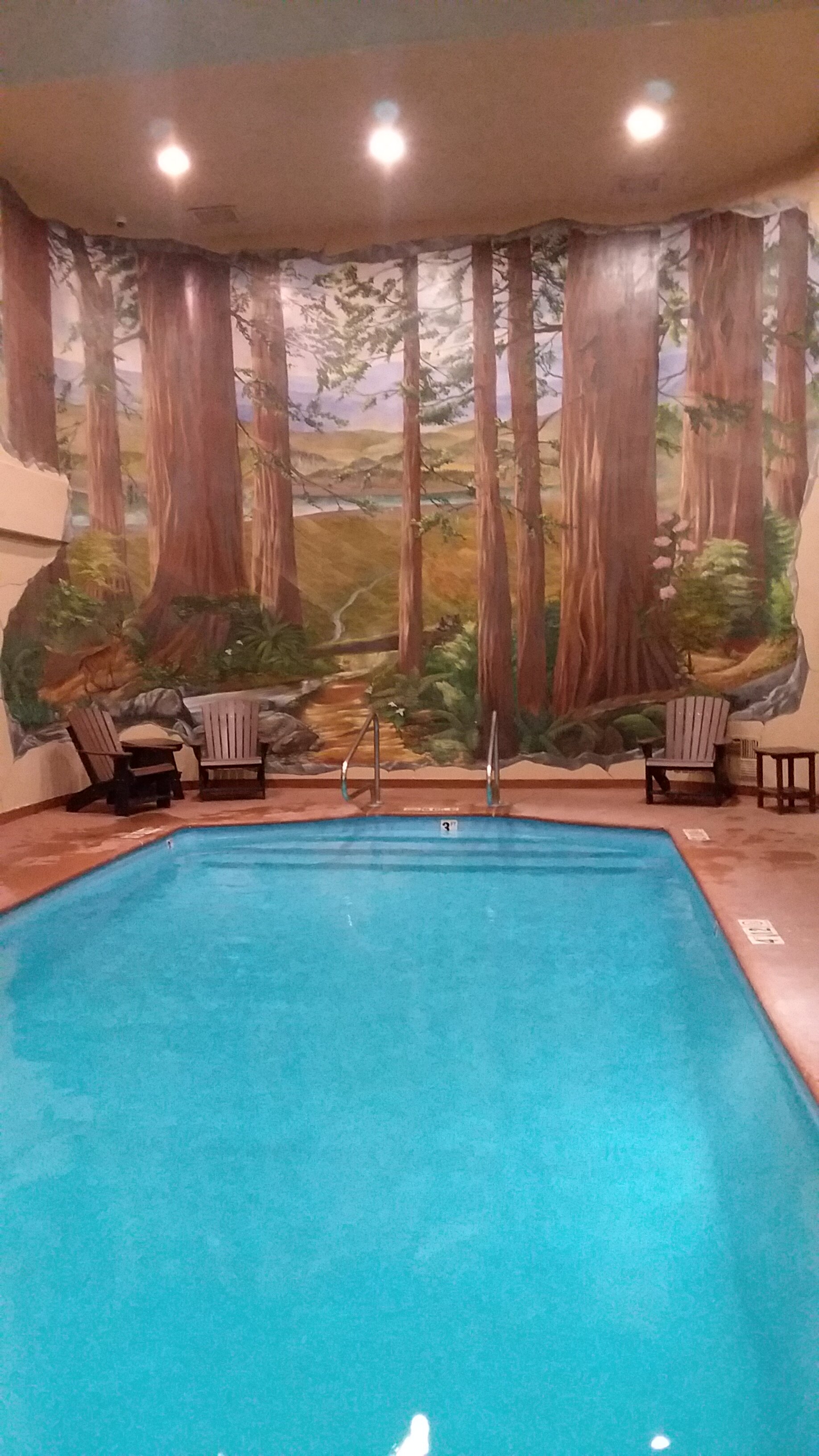 The Redwood Riverwalk-泳池