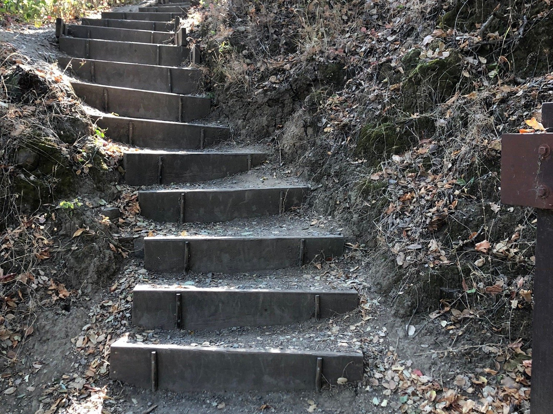 Laurelwood Park-圣马特奥必去景点