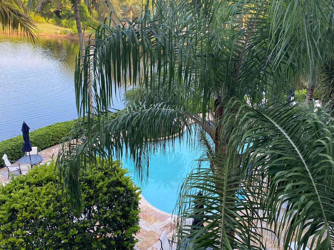 鹈鹕湾酒店主图