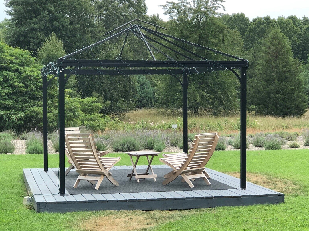 Summerhouse Lavender Farm景点图片