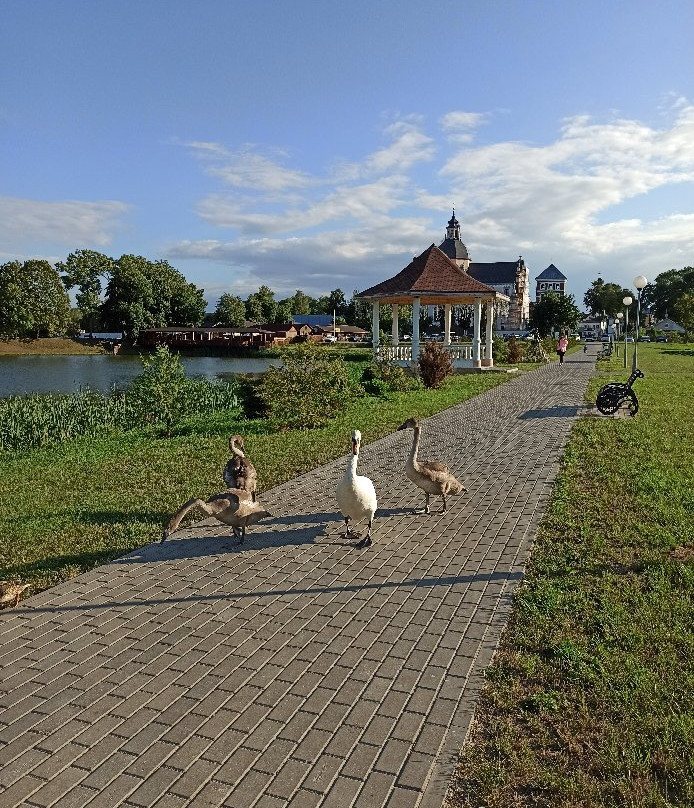 Niasvizh Park景点图片