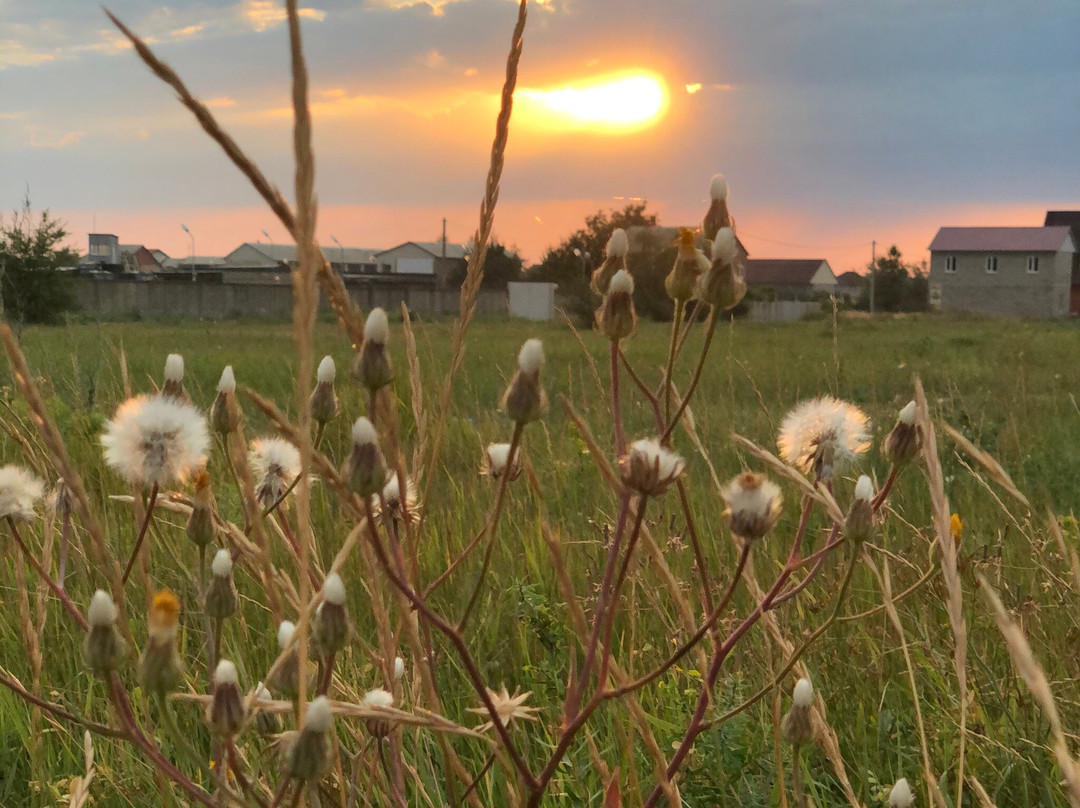 Urzuf旅游攻略图片