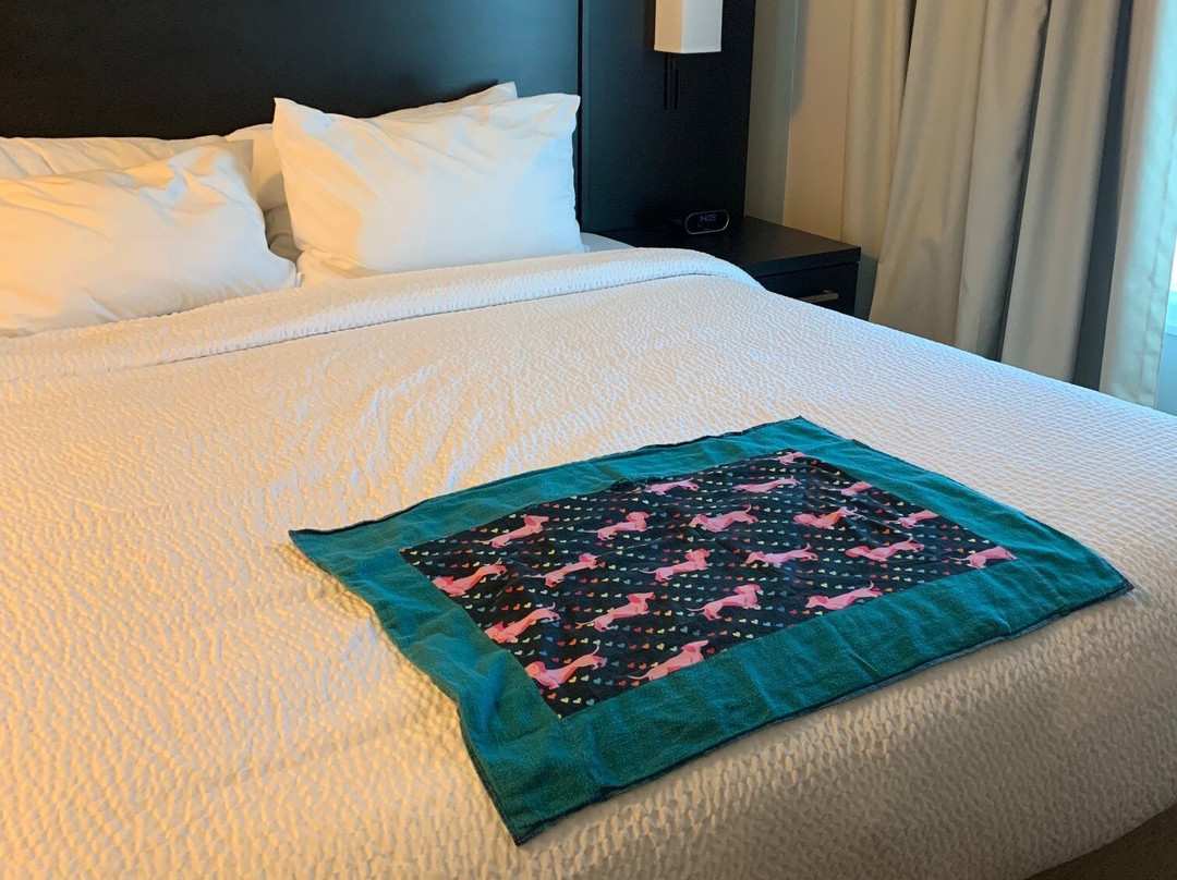 Residence Inn by Marriott Phoenix Mesa主图