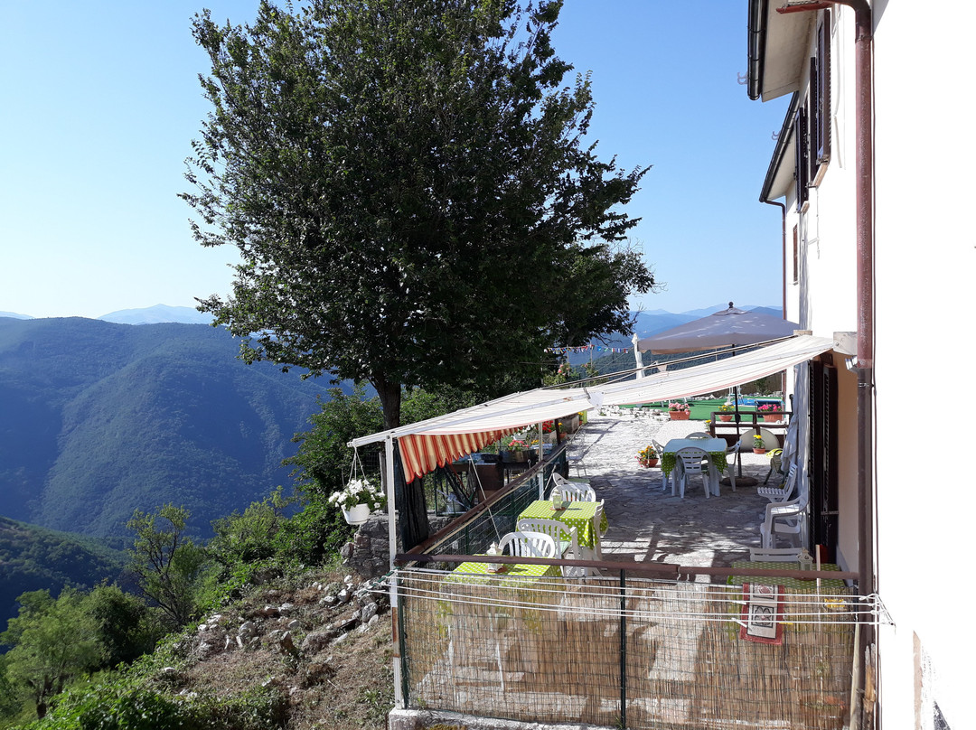 B&B Live Paradise主图